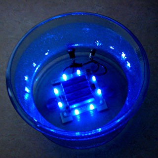 Berkey� Base with LED's