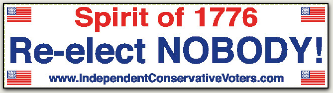 Re-elect Nobody Bumper Sticker