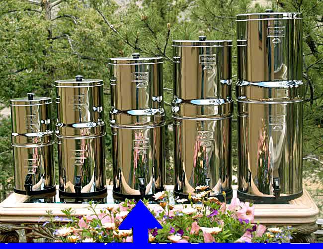 The Royal Berkey�